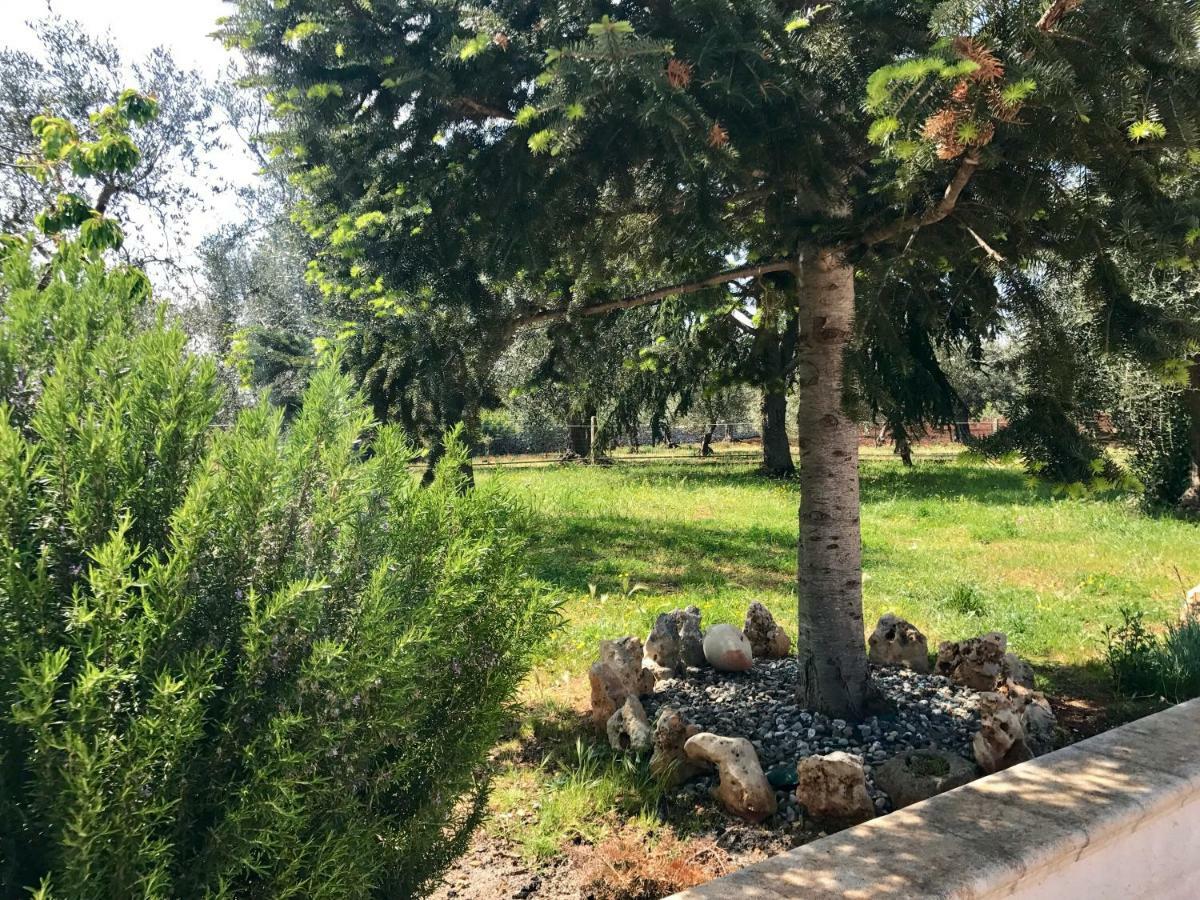 Il Trullo Di Giulietta Bed & Breakfast Impalata Dış mekan fotoğraf
